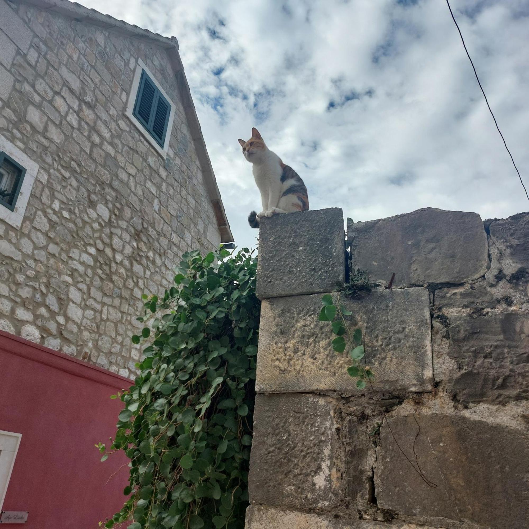 San Marco Makarska Leilighet Rom bilde